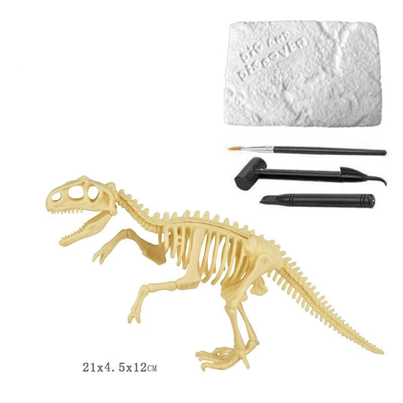 Brinquedo Kit Escavação Fósseis Mundo Dinossauro